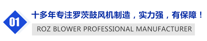 羅茨風(fēng)機(jī)配件